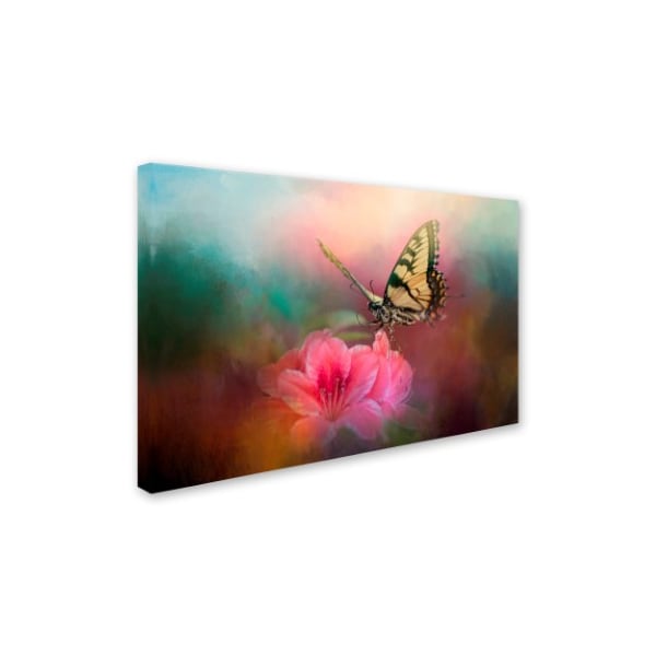 Jai Johnson 'Garden Friend 2' Canvas Art,22x32